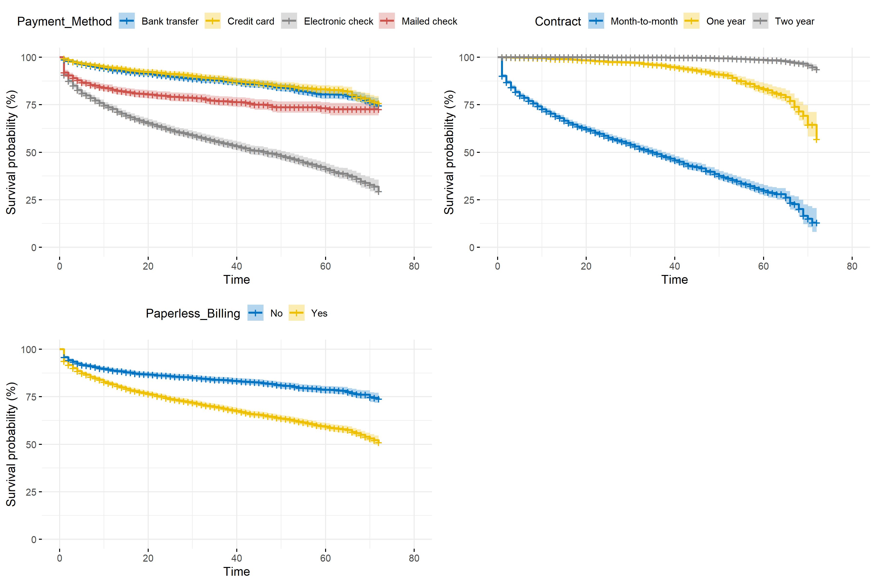 Kaplan-Meier survival function depending on customer account information