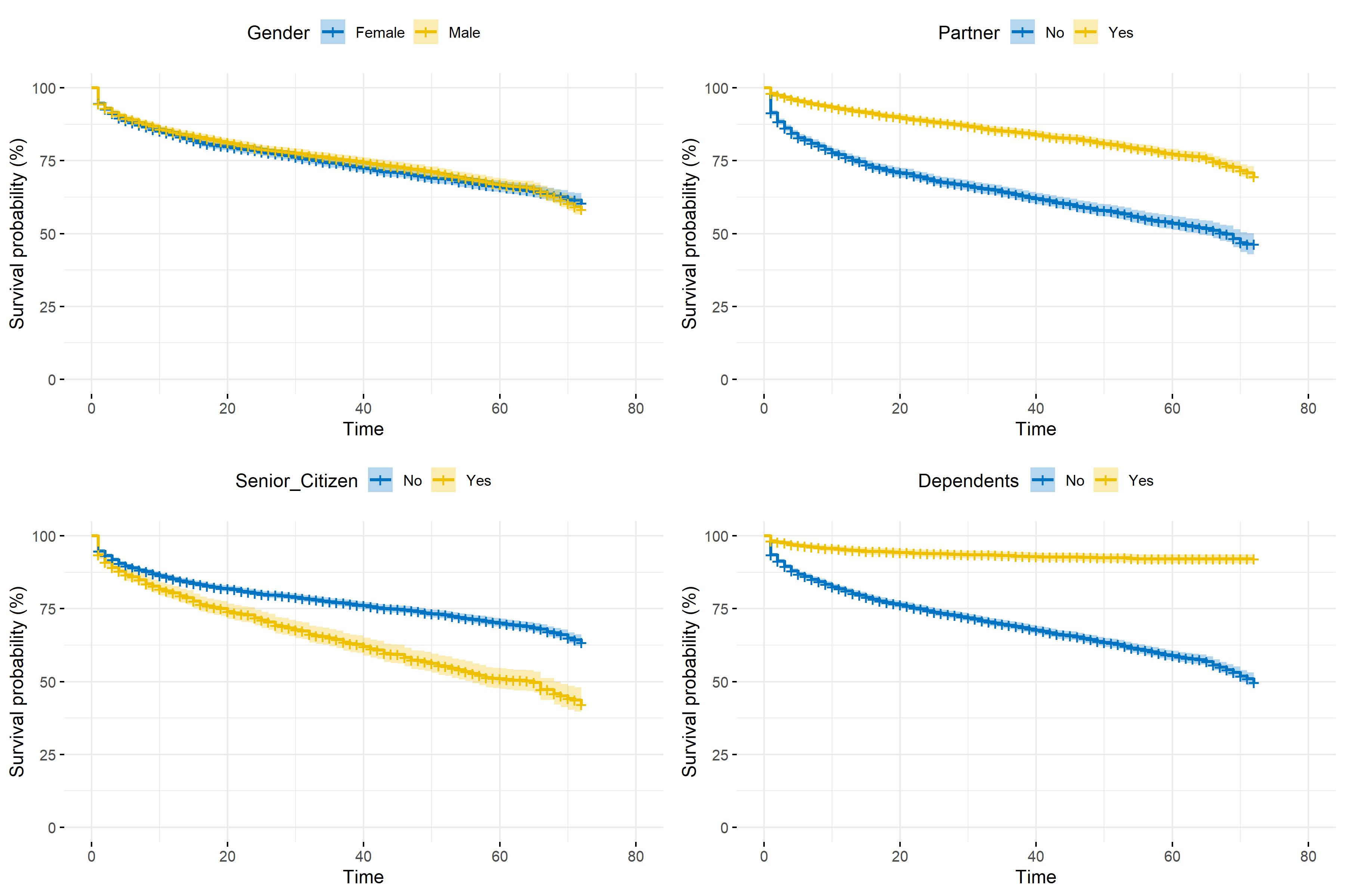 Kaplan-Meier survival function depending on demographic information